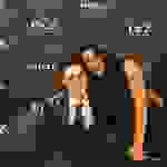 Felice mastrovita und Amanda Ammann