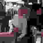 Luisa Rossi, felice mastrovita und Michelle Zimmermann